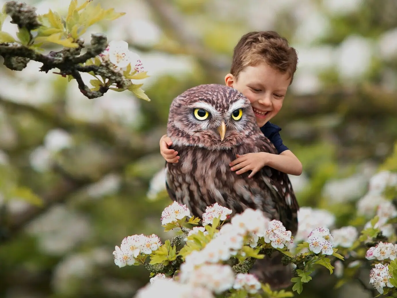 Ein kleines Abenteuer mit einem Jungen, der eine Eule umarmt.